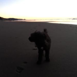 Meet your Posher, Brian